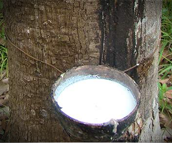 Rubber is een isolatiemateriaal dat kan worden gewonnen uit een boom of uit olie.