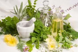 Pentingnya Herbalisme