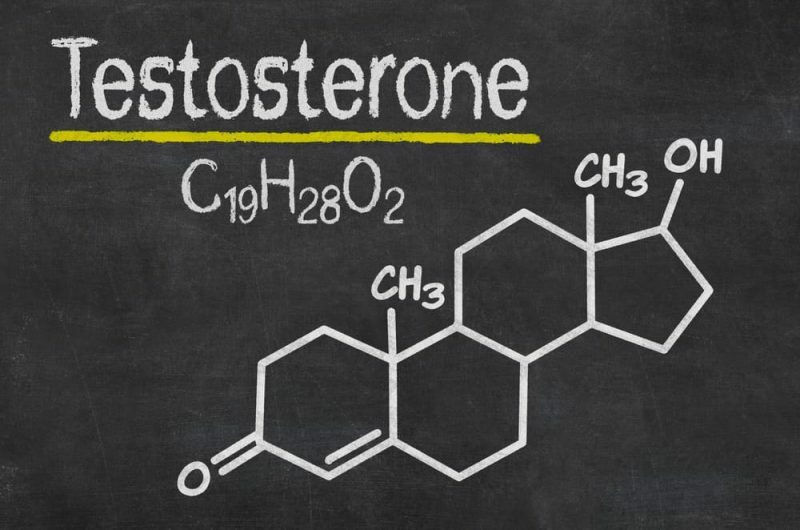 τεστοστερόνη - ορμόνες